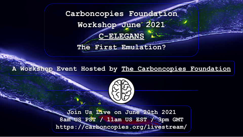 C.Elegans Workshop