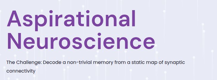 Memory Decoding Challenge Image