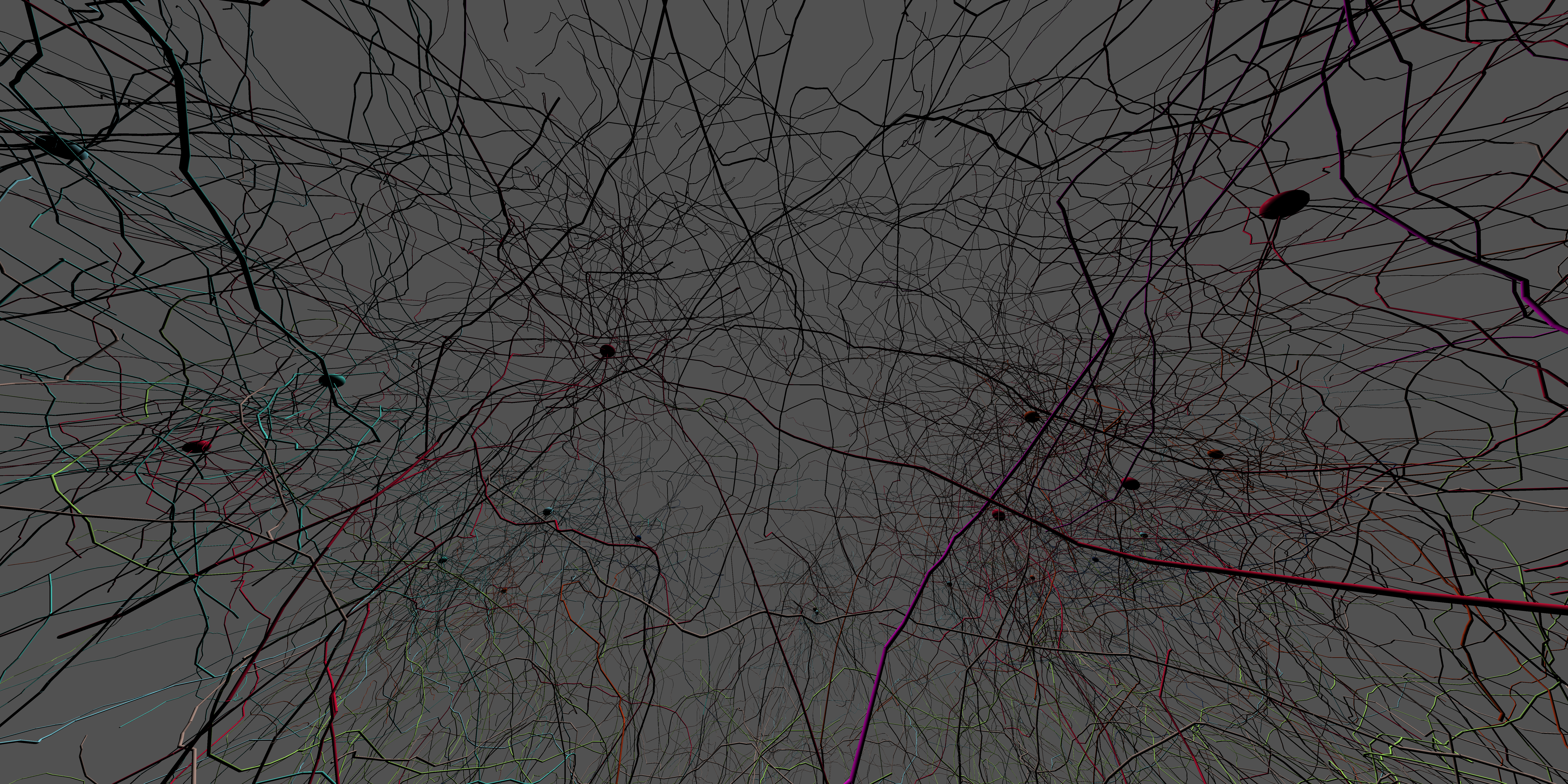 Example Visualizer Output With All Neurons Enabled