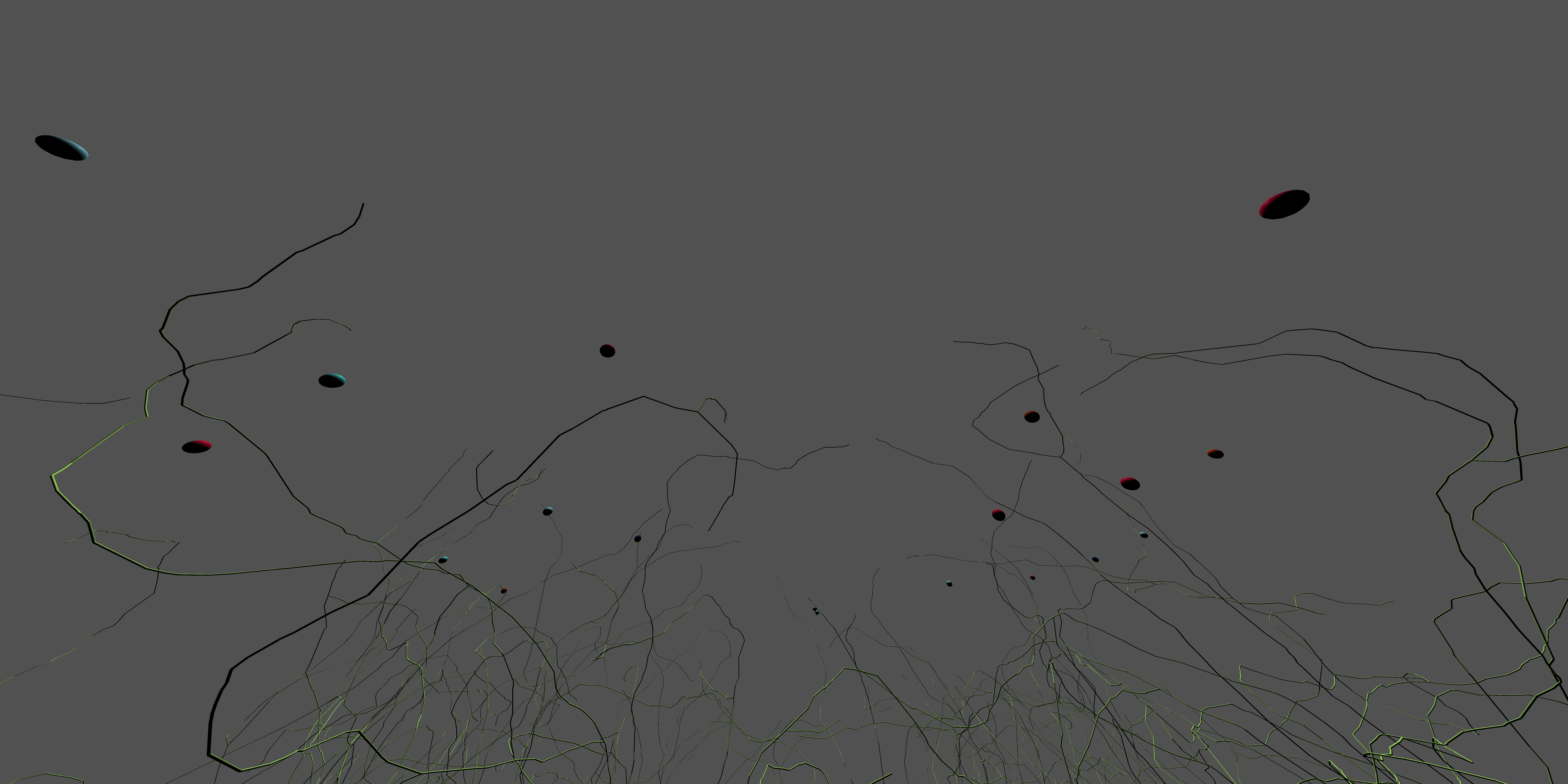 Example with neurons filtered using the optional filter code