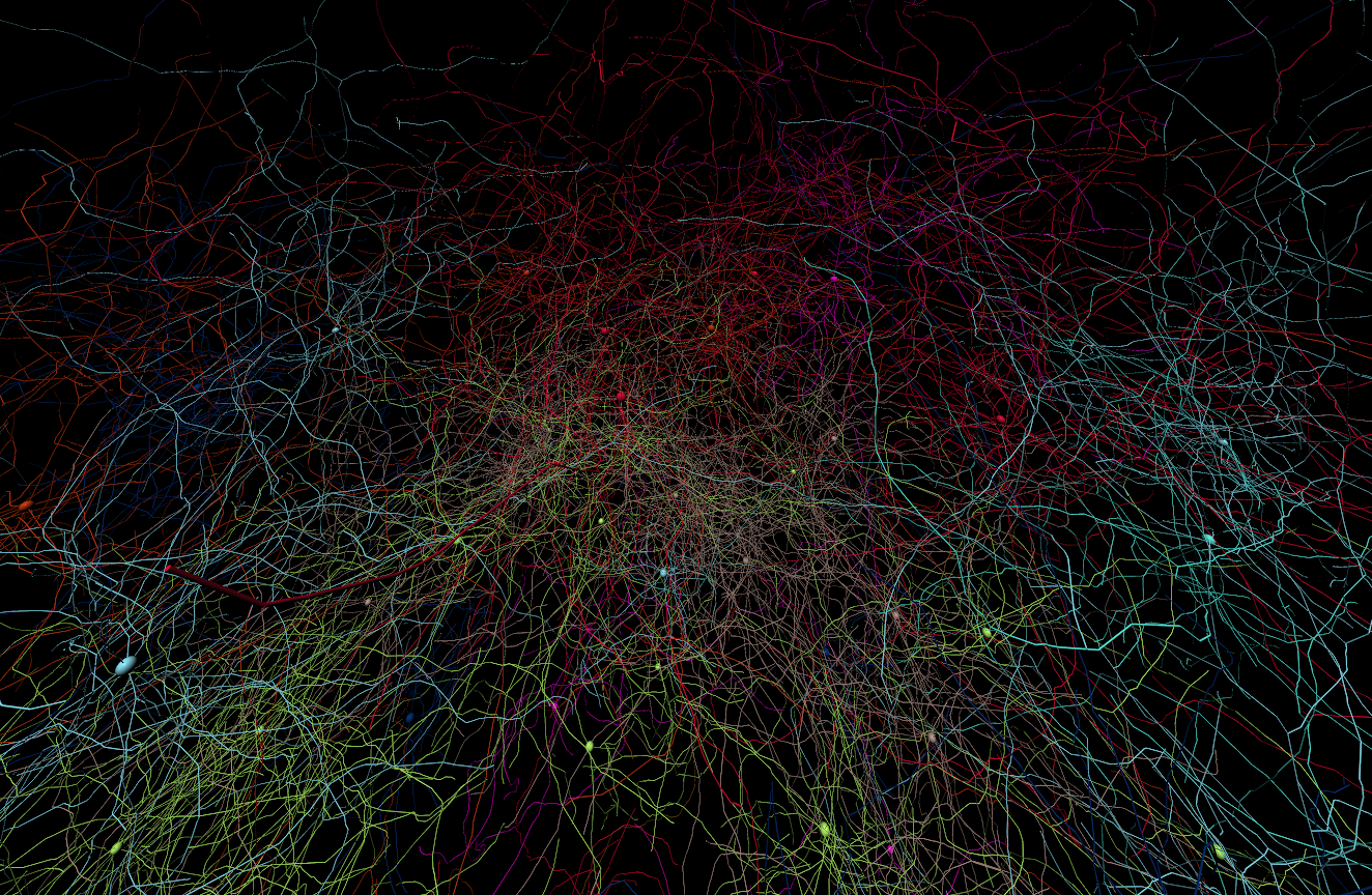 Example output from BrainGenix Visualizer Showing Many Neurons